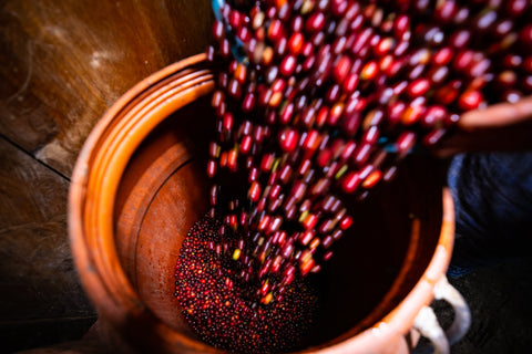 The co-fermentation fallacy.