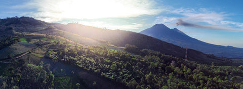 A Big Dream. A QUEST to unite cacao & coffee.