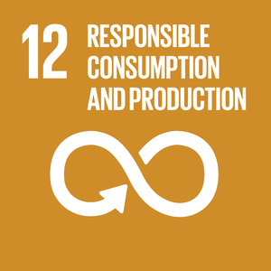 UN Sustainable Development Goal 12